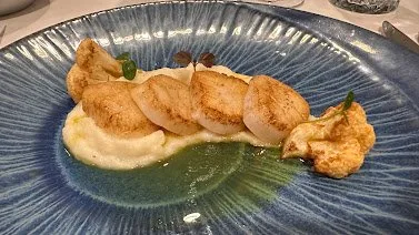 Voorbeeld van Coquilles met bloemkooldrie-eenheid, beurre noisette, hazelnoot en vadouvan