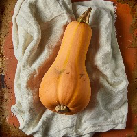 Foto van pompoen